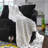 Alsonwell Throw (Set Of 3)-115137068-115137072