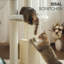 Heavy-Duty Solid Wood Cat Tree for Large Cats, 58"H-819897579