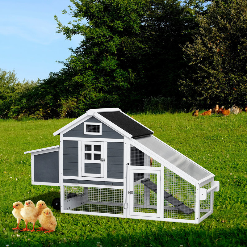 Cage à lapin résistante aux intempéries Denira