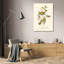 Art Direct Audubon, John James Gallery, art sur toile tendue, noir, vert-1232794430