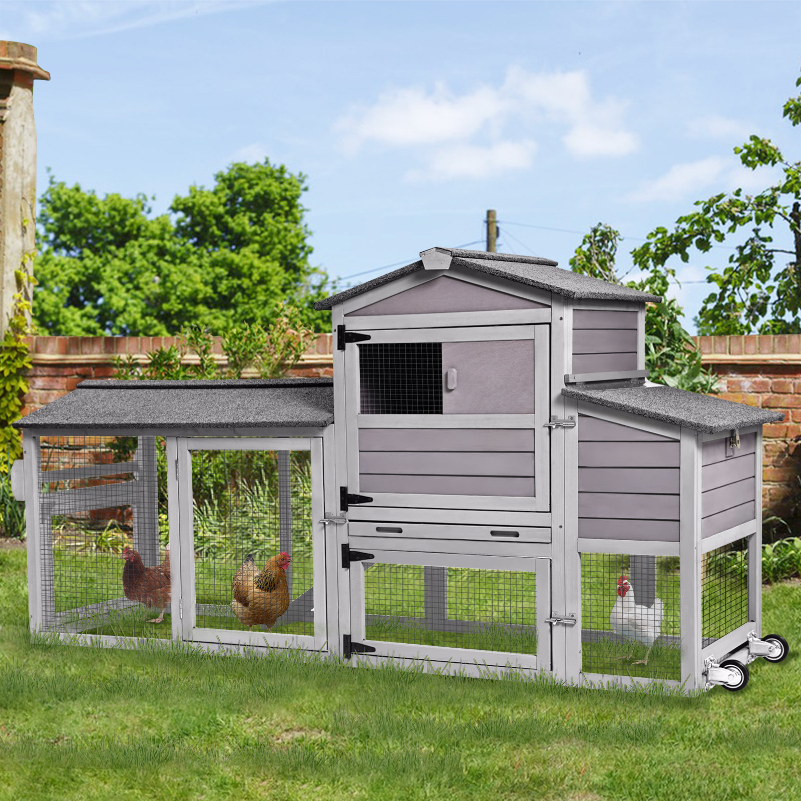 Tucker Murphy Pet™ Anabia Chicken Coop With Run Outdoor Hen House With