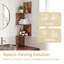 80cm H x 20cm W Bookcase