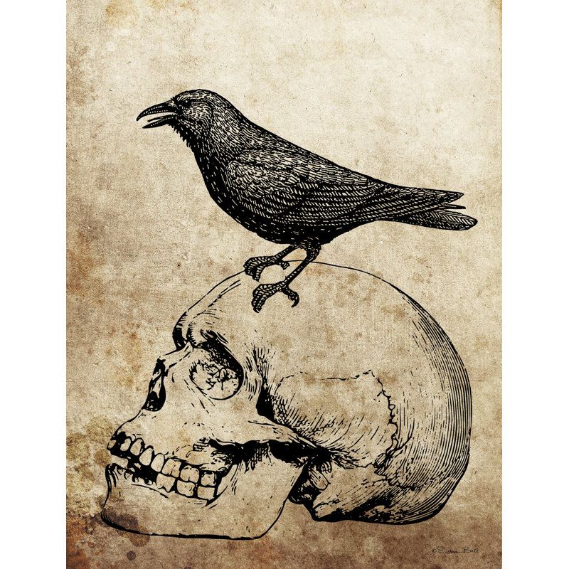 Arvil Skull Crow par Susan Ball, H 18 po x l 12 po