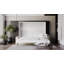Neidelin Upholstered Bed-1188136280