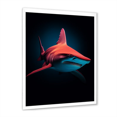 " Red Shark Photo Haven "