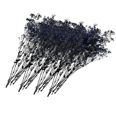 Dried Preserved Baby's Breath Stems