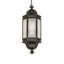 Lanterne suspendue d'extérieur 6 lumières Adisynne