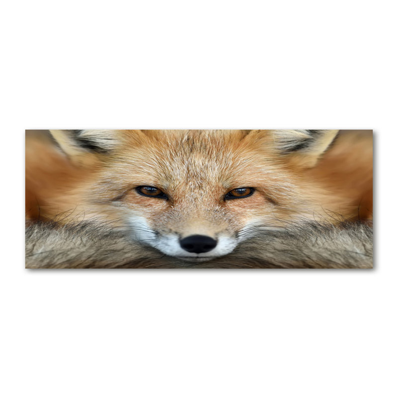 Fox - Wrapped Canvas Print, Canvas, 50cm H x 125cm W