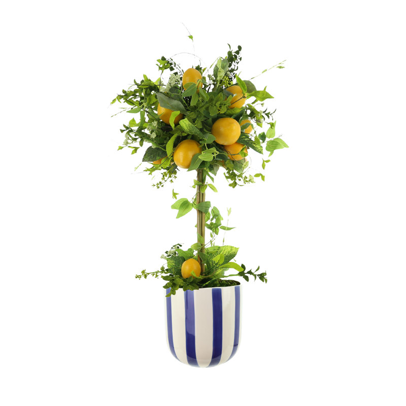 Lemon Topiary in Decorative Ceramic Vase