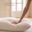 Pillow Goose Down/Feather-129619194