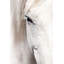 Horse Eye - Print on Canvas-1660827237