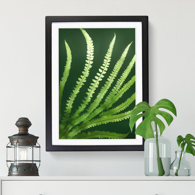 Aayam Fern Leaf Beauty - Framed Print, 64cm H x 46cm W x 2cm D, Oak