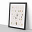 Types of Seashells PL. 4 by J.E. De Kay - Framed Print-55642118-55642116
