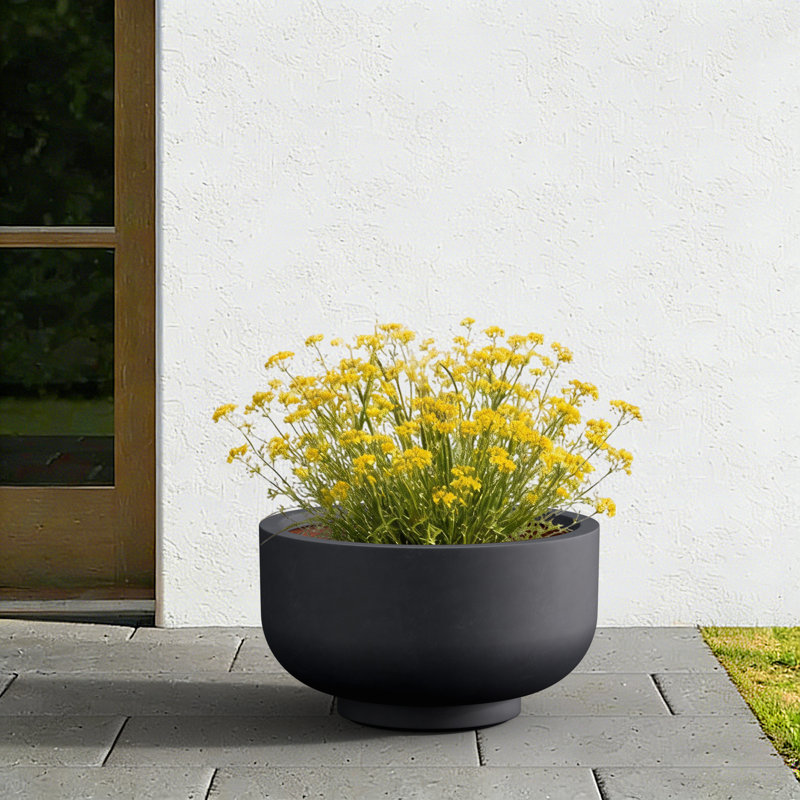 13.5"W x 7.5" H Medium Dark Charcoal Concrete Planter / Pot Lightweight Planter Bowl with Drainage Holes, Matte Black
