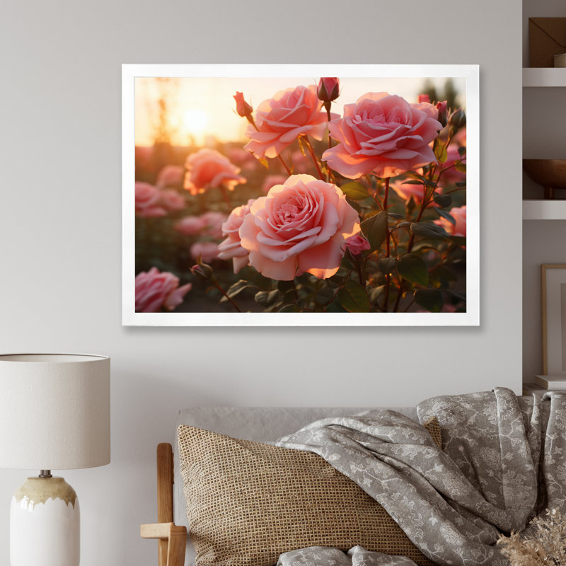 Champ de roses roses avec coucher de soleil, Cadre simple blanc, H 12 po x l 20 po x P 1 po