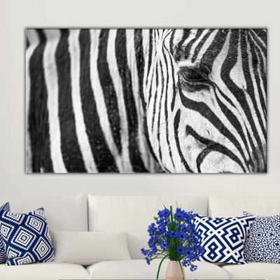 " Zebra Eye "