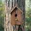 Rustic Barkwood Mounted Bird House