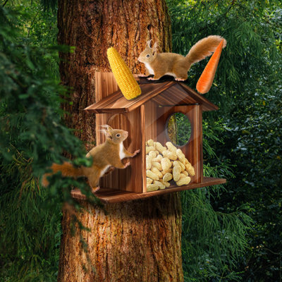 Solid Wood Hanging Squirrel Feeder With Clear Front Panel, Wide Perch Easy Refill