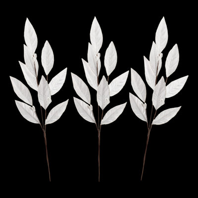 Choix feuillus