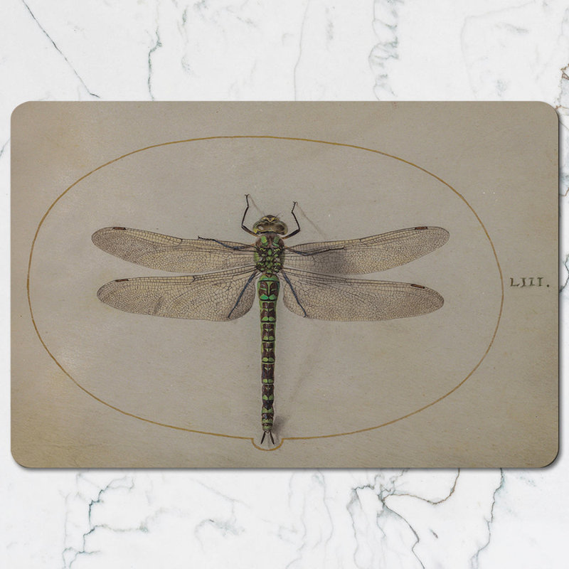 Dragonfly Placemats and Coaster Set Vintage Botanical Illustration