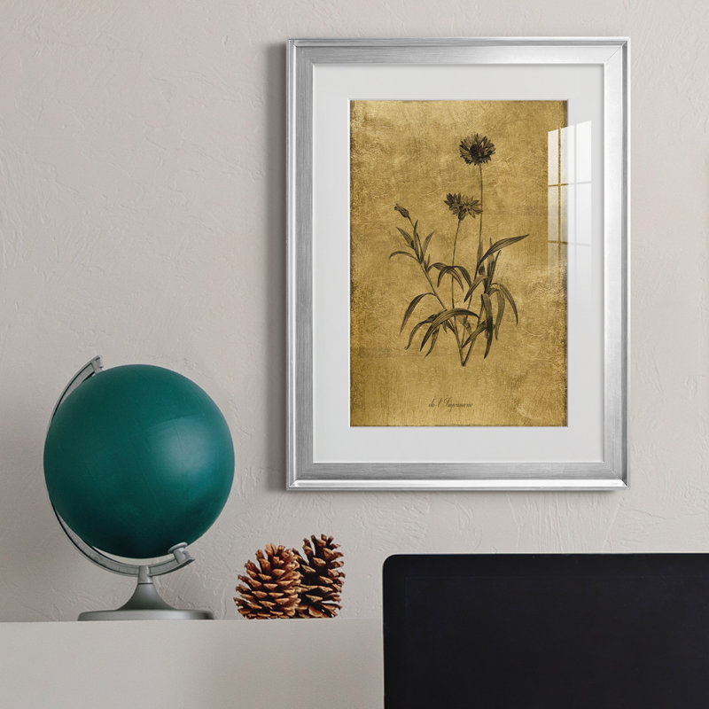 Croquis doré Botanique I - Cadre photo, reproduction d'art sur papier, H 24,5 po x l 18,5 po x P 1,5 po, Argent