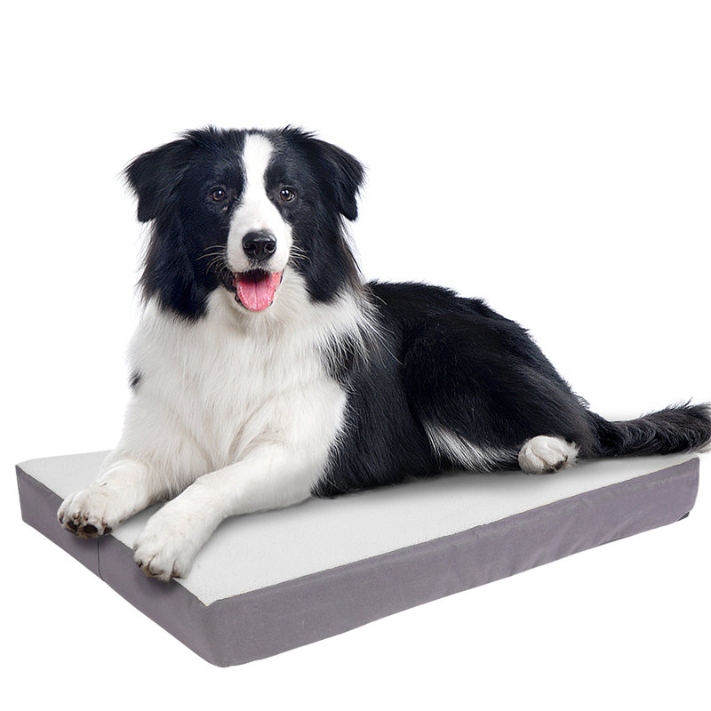 Lit pour chien Carolee