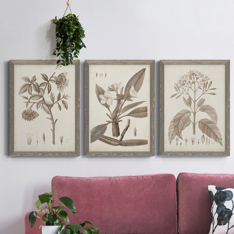 Antique sépia botanicals I - ensemble de 3 reproductions d'art sur toile, H 100 po x l 31,5 po x P 1 po, Gris