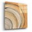 «Gilded Rings» par Chris Paschke-1449427218