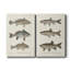 Toile tendue avec châssis de qualité supérieure, espèce de poisson antique III-1994487412