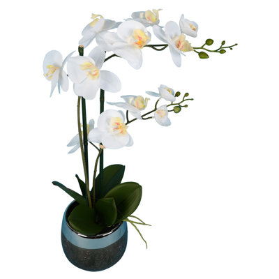 Silk Orchid Arrangement in Pot