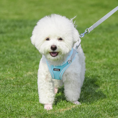 Ensemble de harnais et de laisse pour chien No Pull