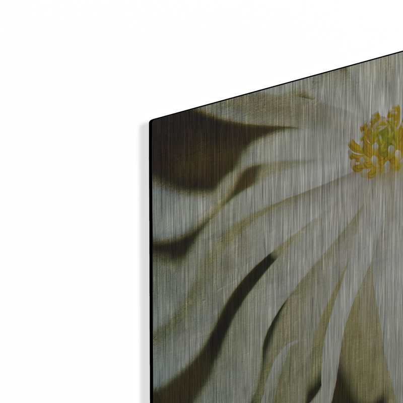 «White Flower» par Dennis Frates, H 12 po x l 16 po