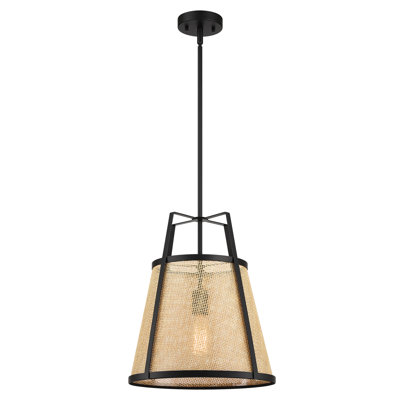 Luminaire suspendu noir mat 1 lumière