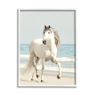 " Galloping White Stallion Wild Horse Sun Bleached Coast "