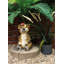Interlochen Animals Resin Garden Statue