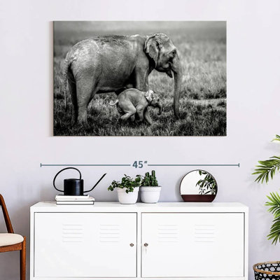 Brampt Elephant And Its Young In Assam