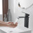 Single-handle Bathroom Faucet with Drain Assembly-101006353