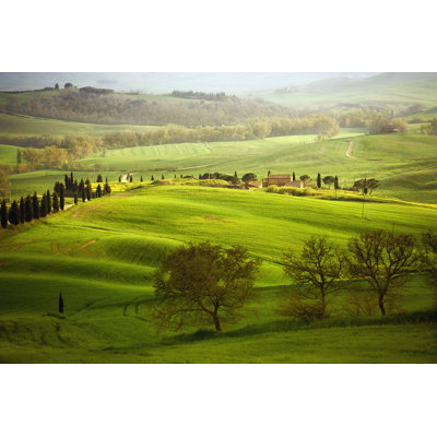 Spring in the Tuscany 1 Piece Wrapped Canvas Wall Art