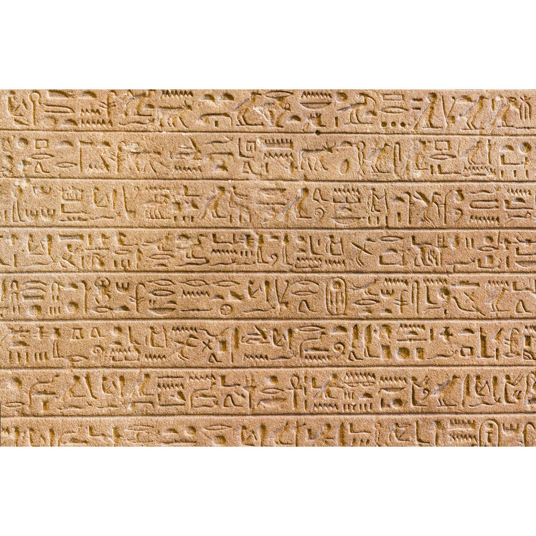 " Egyptian Hieroglyph " Dakota Fields