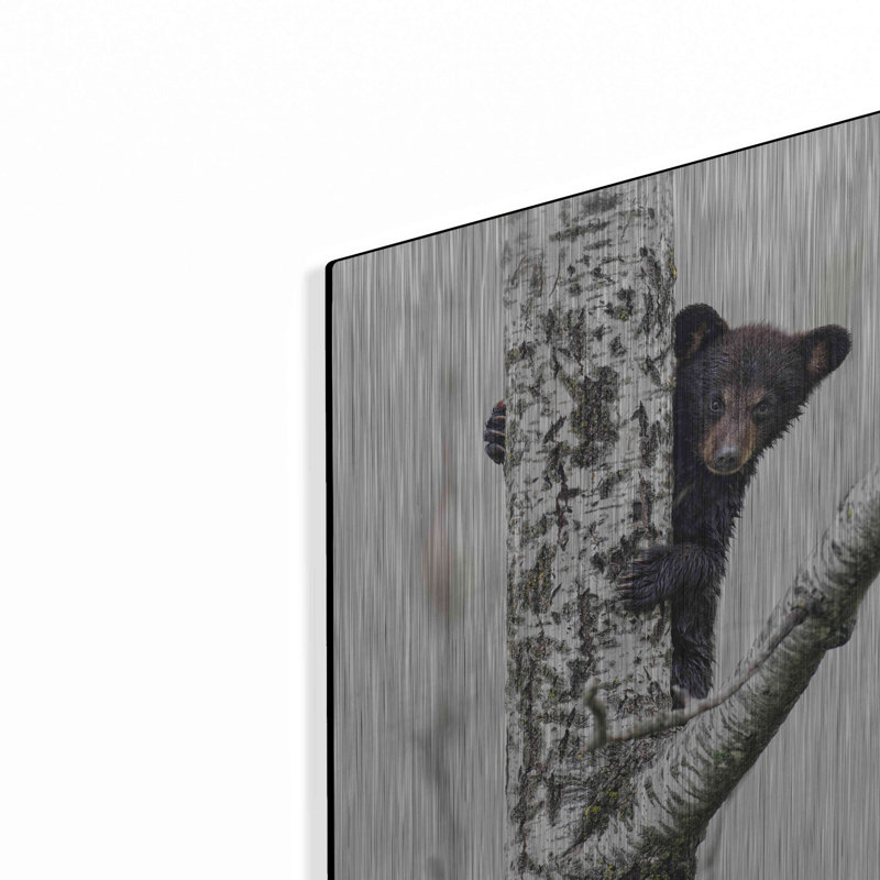 «Bears At Play V» par PH Burchett, H 16 po x l 12 po