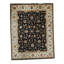 Dharma Oriental Area Rug in Black/Ivory/Red/Pea