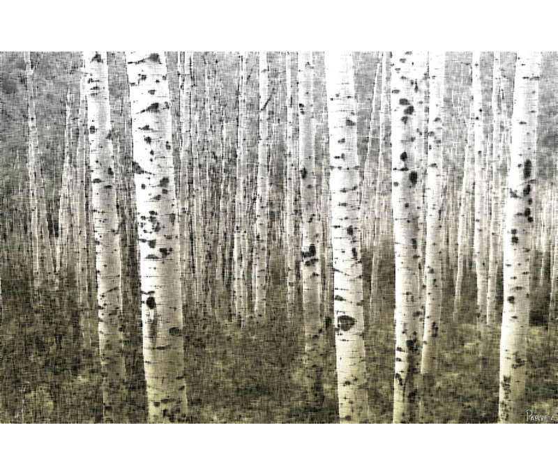 1 Piece Wrapped Canvas Wall Art, 41cm H x 61cm W x 5cm D