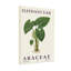 «Plants & Flowers Elephant Ear Plant», reproduction d'art botanique-1021330085