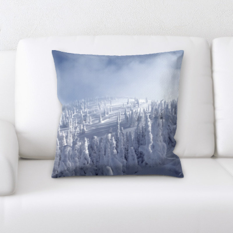Coussin décoratif Landrum