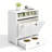 Anti-Skid Elevated Feeder, Pet Feeder Station-107667488