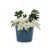 Antique Blue est en rupture de stock