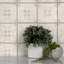 Carreau de porcelaine à motif pour mur et plancher 6 po x 6 po Barcelona