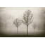 Trees in Fog VII by Jody Stuart - Photograph Print-485258329-427310321