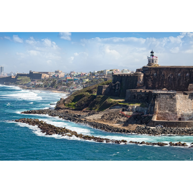 Sebrina Puerto Rico par Ruth Peterkin, H 24 po x l 36 po