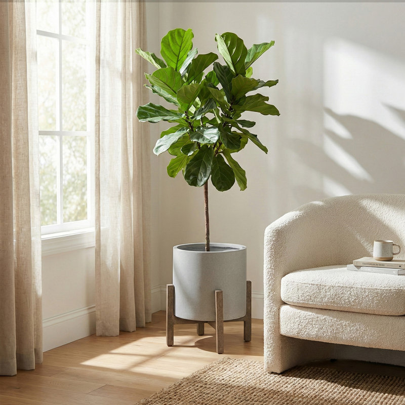 Mulber Ficonstone Pot Planter, Light Gray/Dark Brown